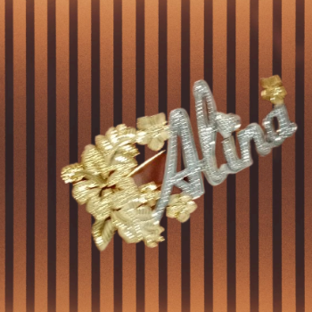 ALINAWATI BT AB AZIZ@KAMARULZAMAN